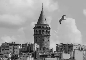 İstanbul Boşanma Avukatı-Koza Hukuk ve Danışmanlık